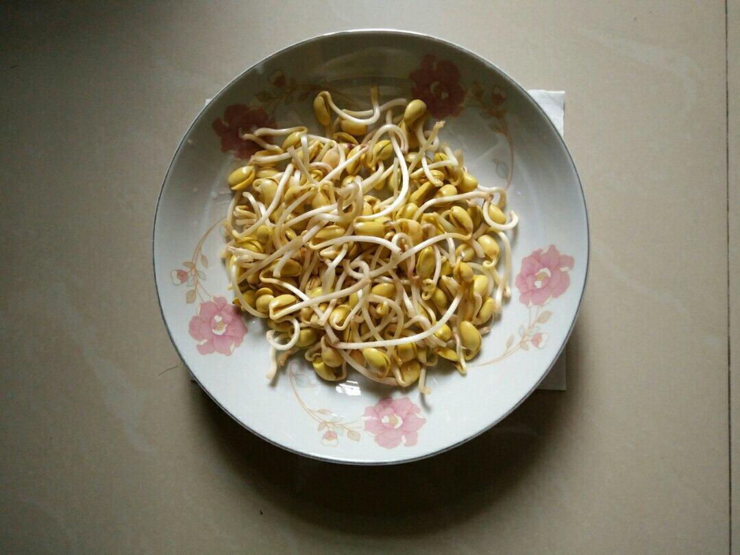 自发豆芽（可乐瓶发豆芽0失败！）