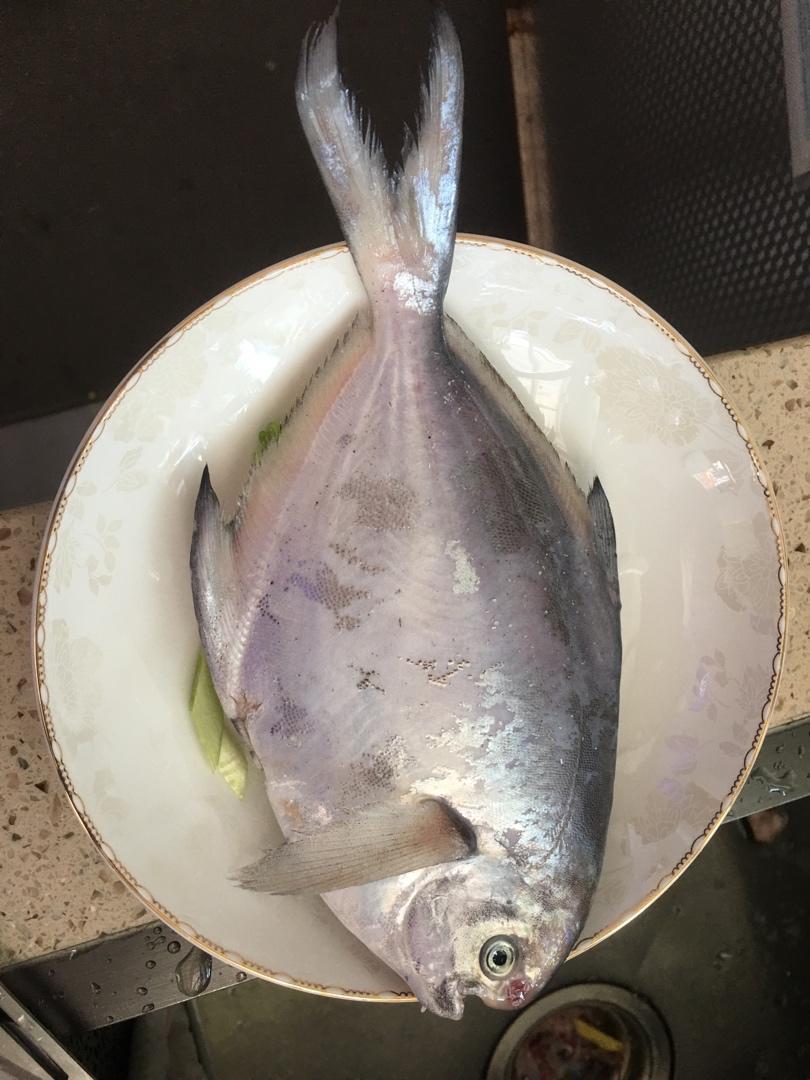 清蒸鲳鱼