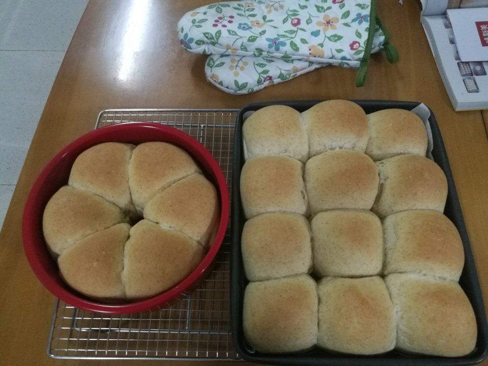 中种全麦餐包
