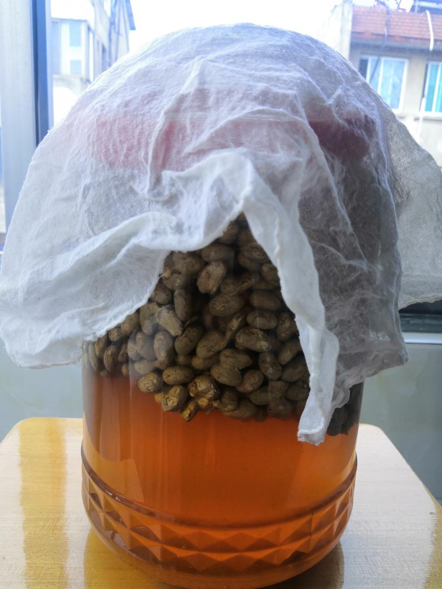 自制黄豆酱   酱油