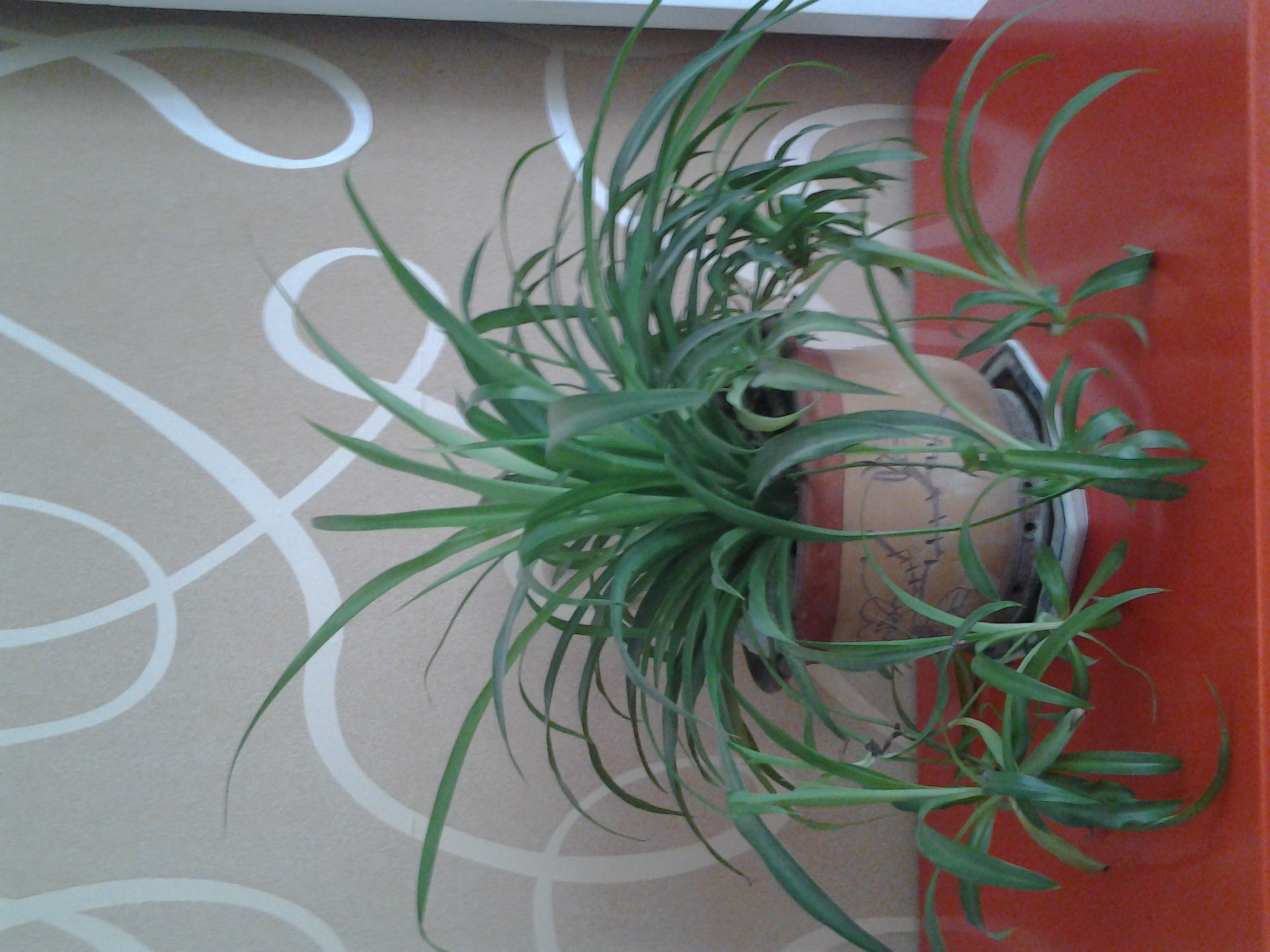 纸飞机滑过的天空