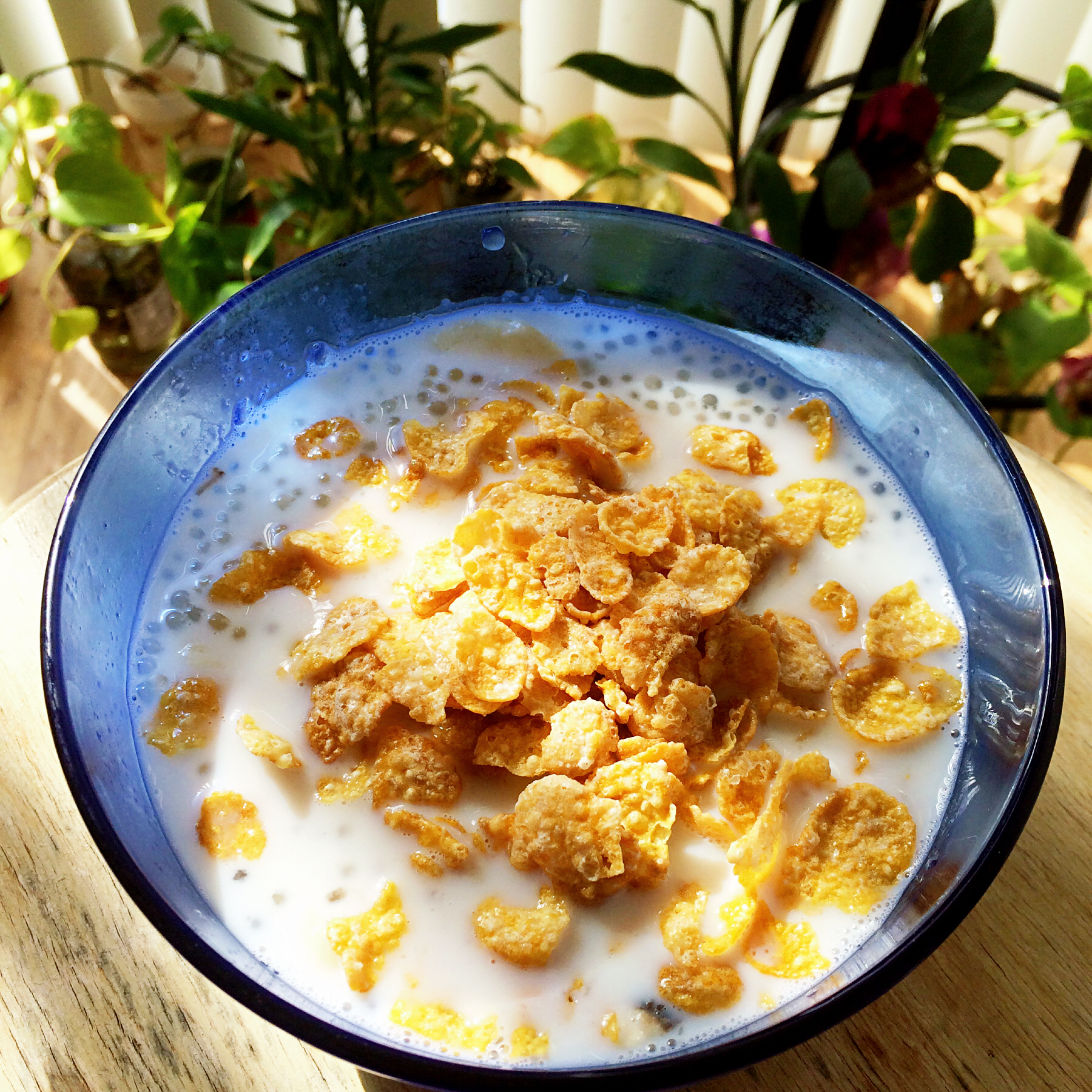 炒勺猫做的香蕉牛奶西米露