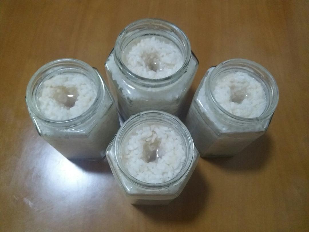 酒酿 (酒酿系列一）