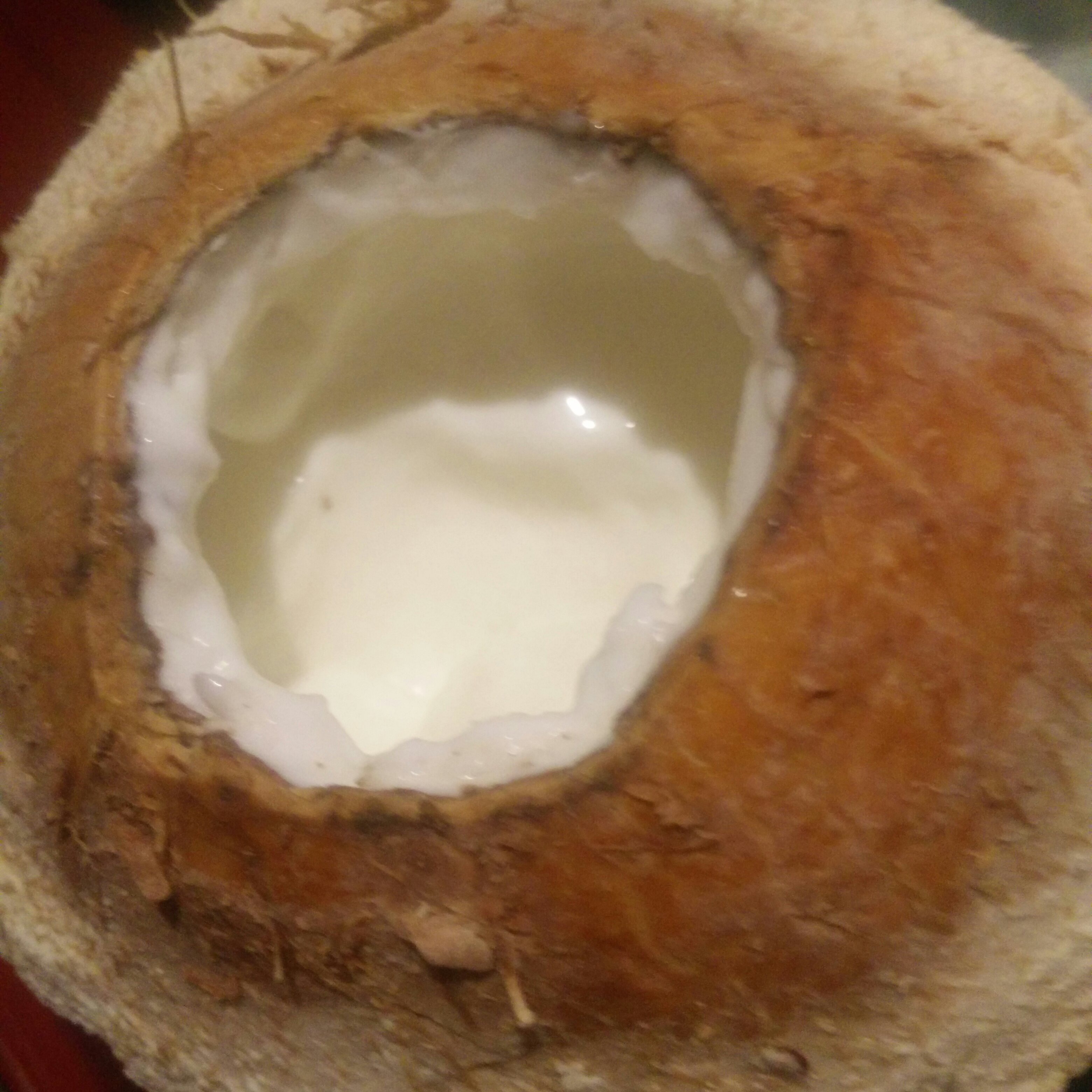 椰子里的美味（双层椰子冻）