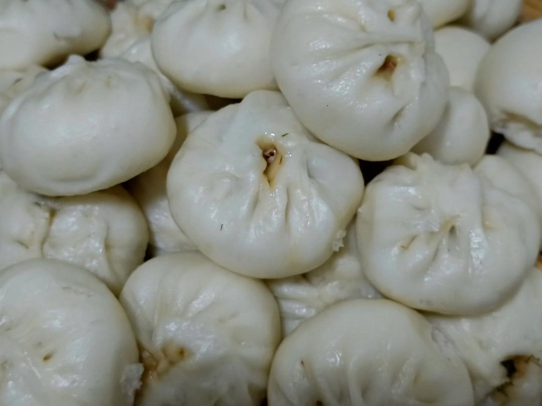 猪肉茴香小笼包--婆婆亲手做的