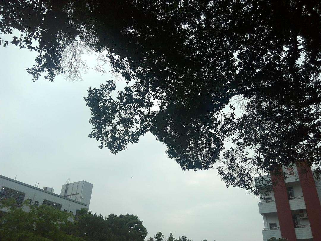 时光集