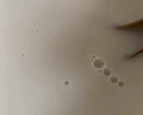 生燕麦片制作燕麦奶的做法