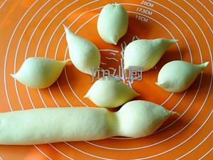 红薯馒头(一次性发酵)的做法 步骤4
