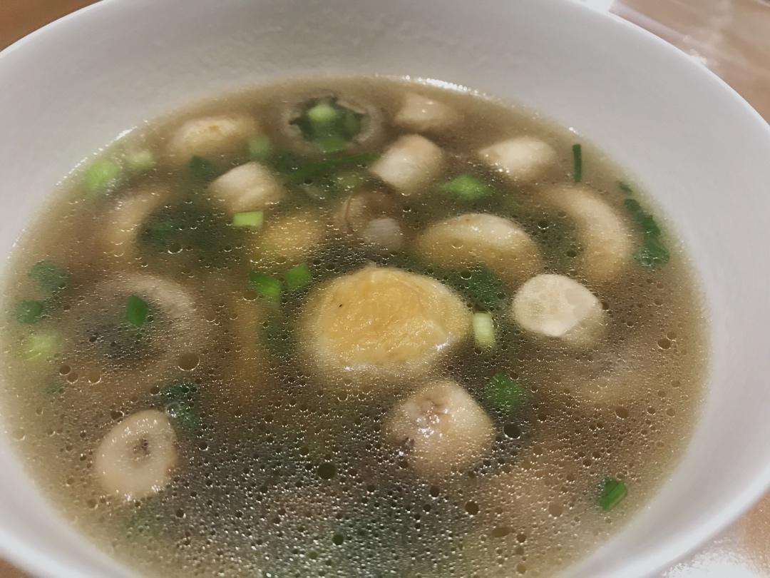 鲜掉眉毛口蘑汤