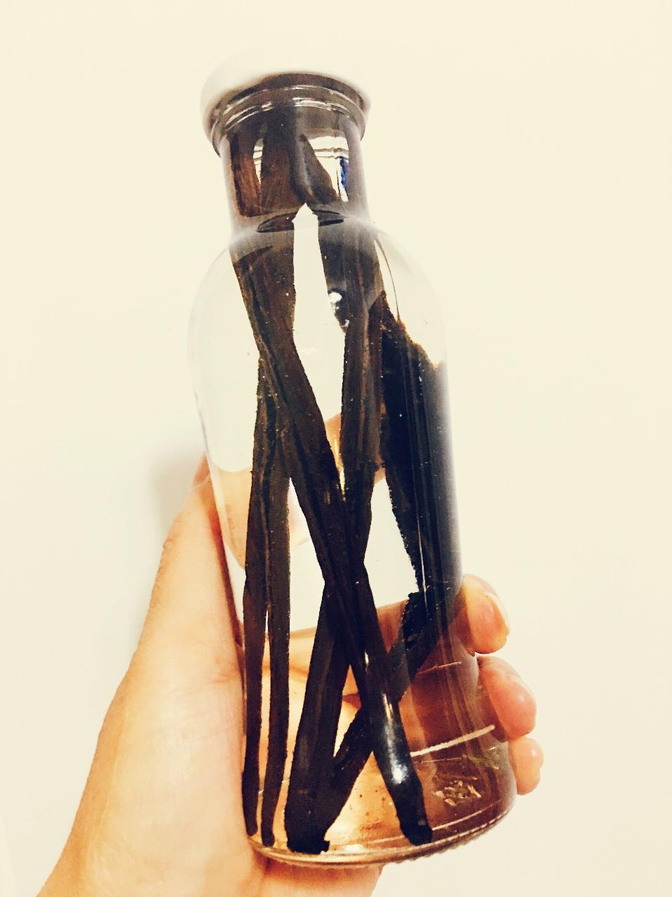 关于香草豆荚，看这一篇就够了