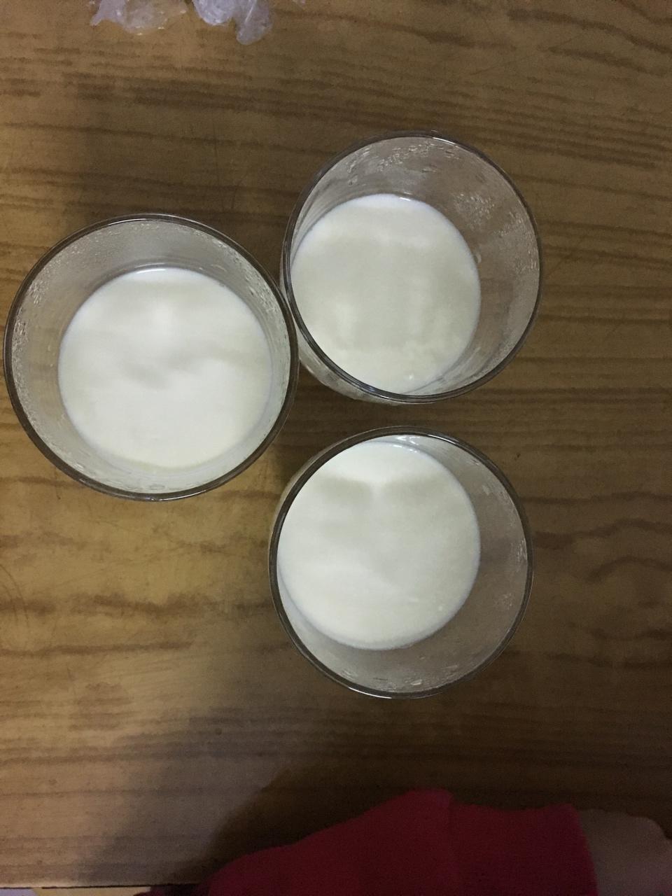 简单易学牛奶鸡蛋布丁