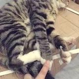 吴幺幺幺幺幺