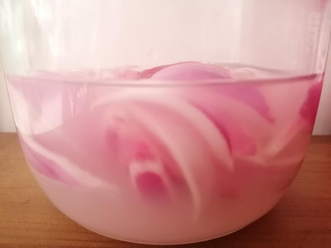 野生酵母之洋葱酵母
