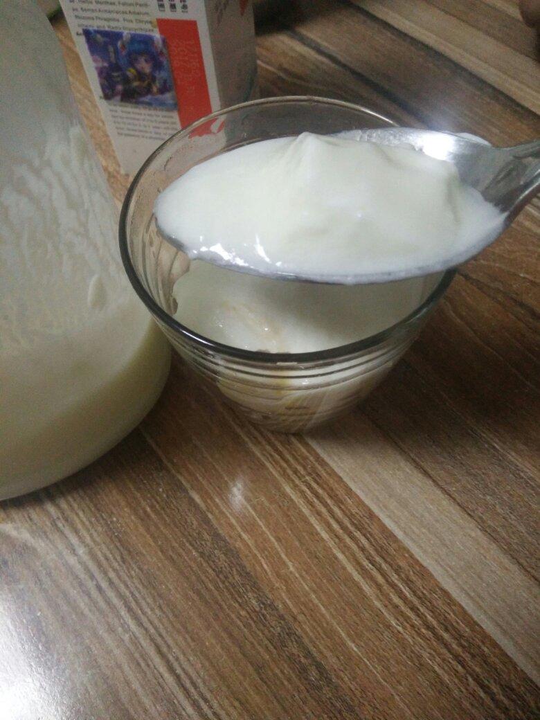 无需酸奶机的自制酸奶