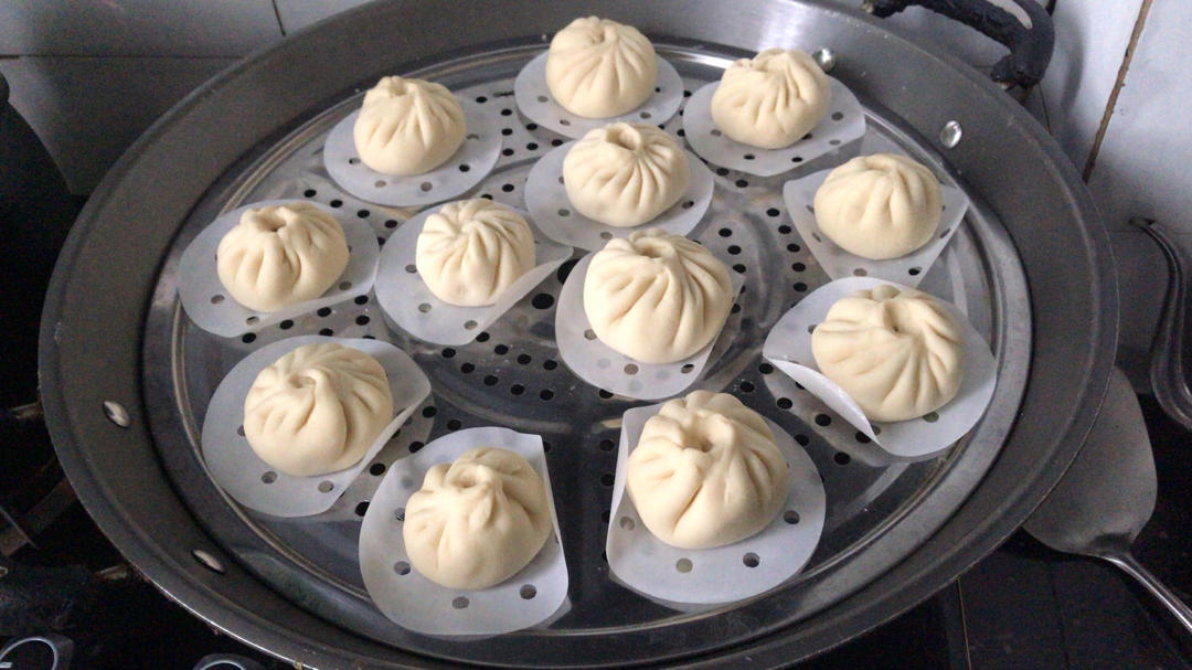一次发酵肉包子