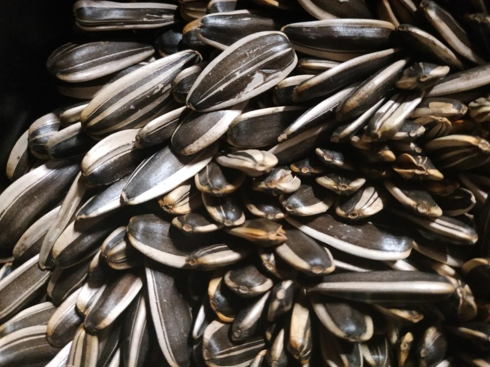 空气炸锅烤瓜子