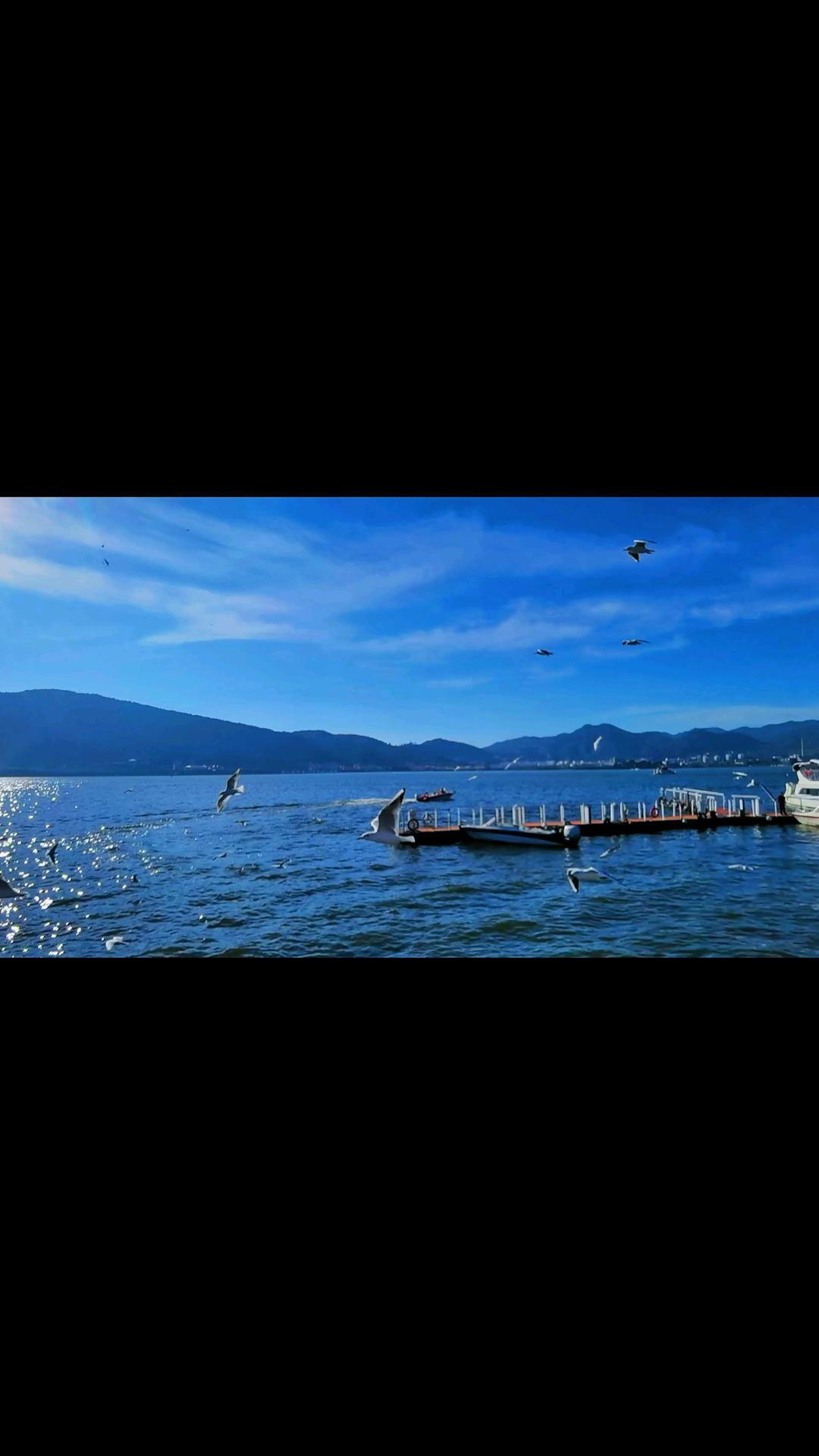 不言不语都是好风景