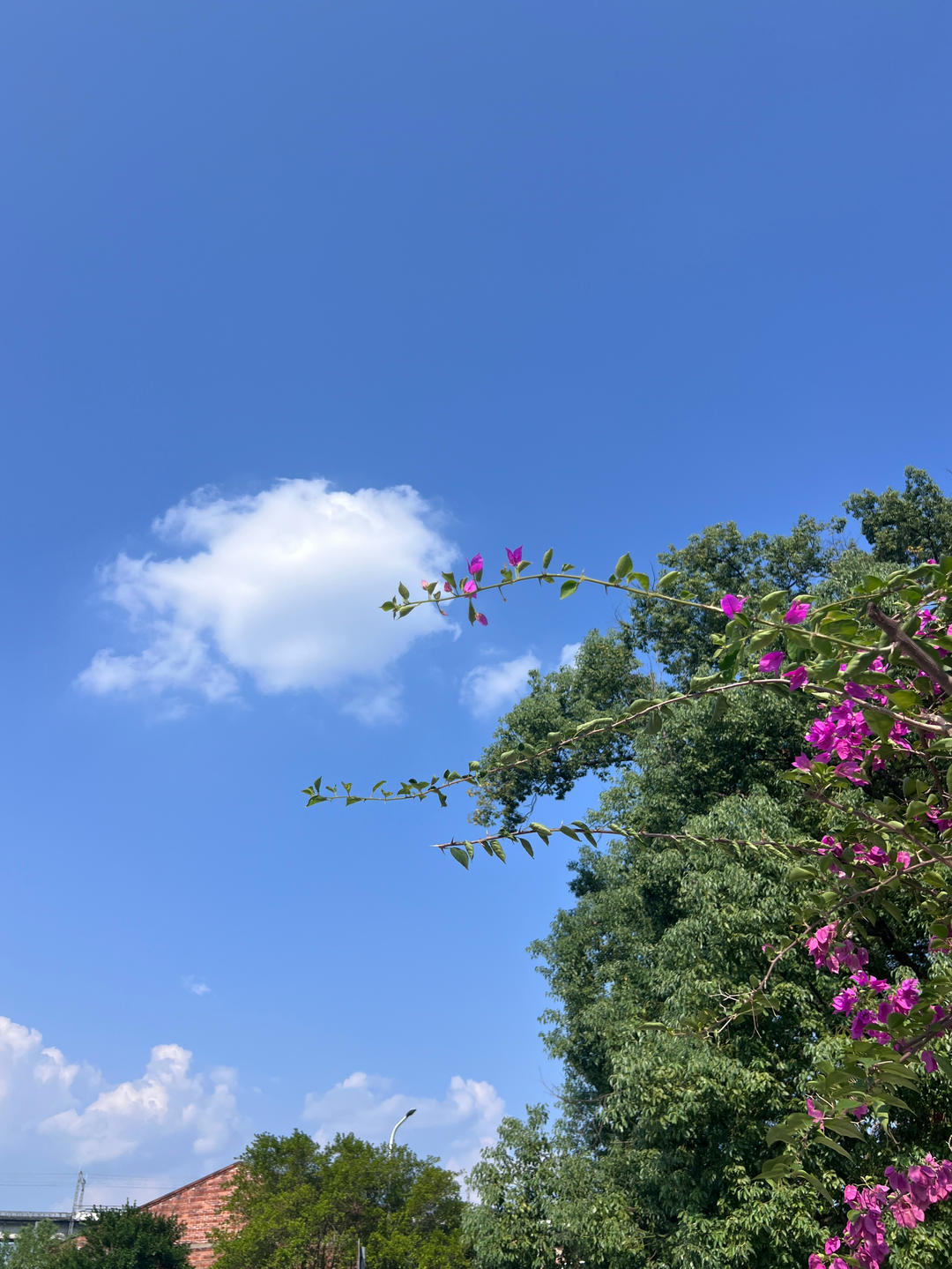 欣悦990316
