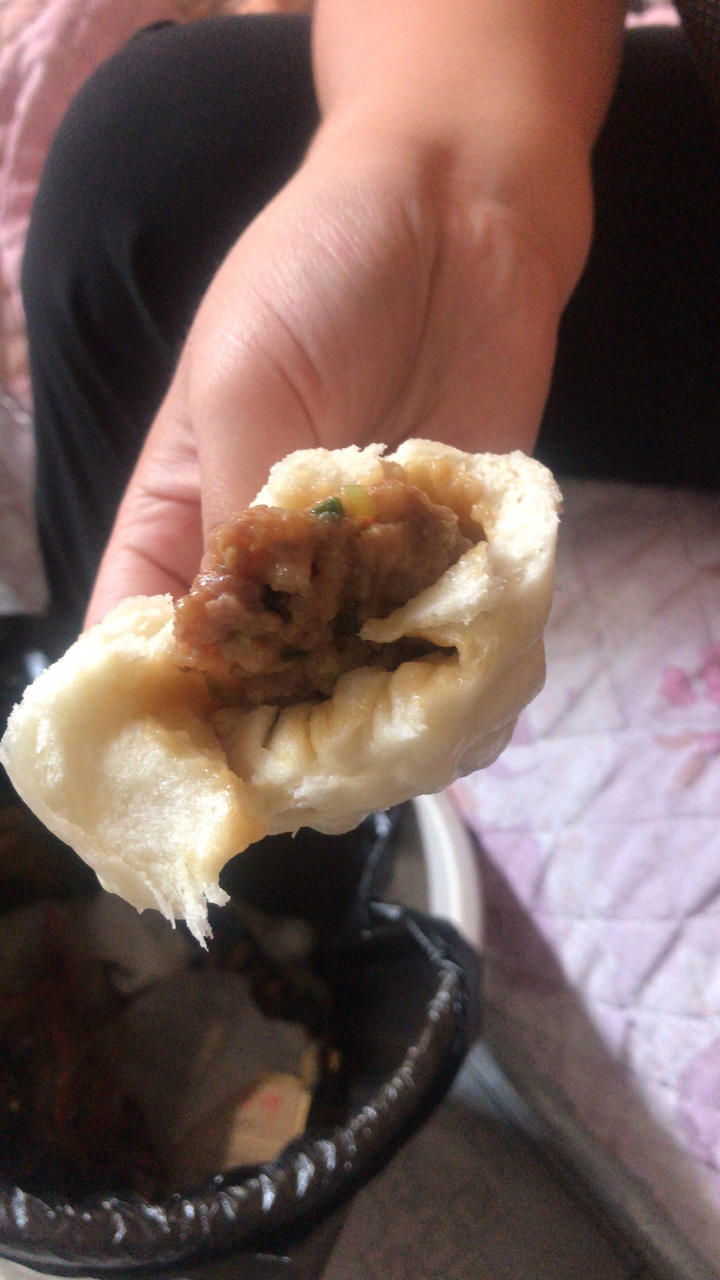 鲜肉包子
