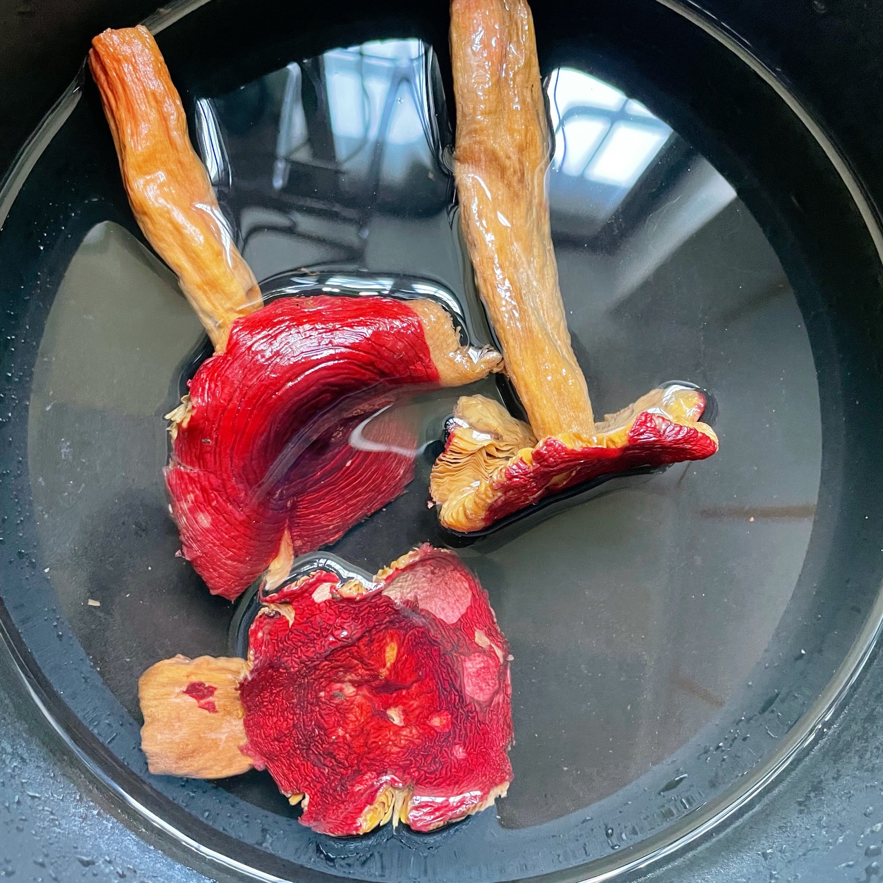 又快又营养红菇瘦肉汤的做法