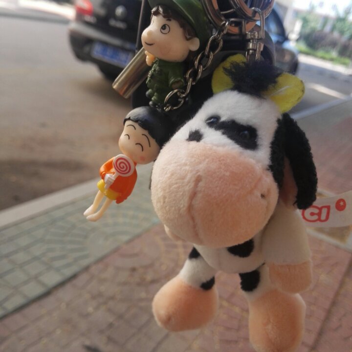 绿萝_gav5的厨房