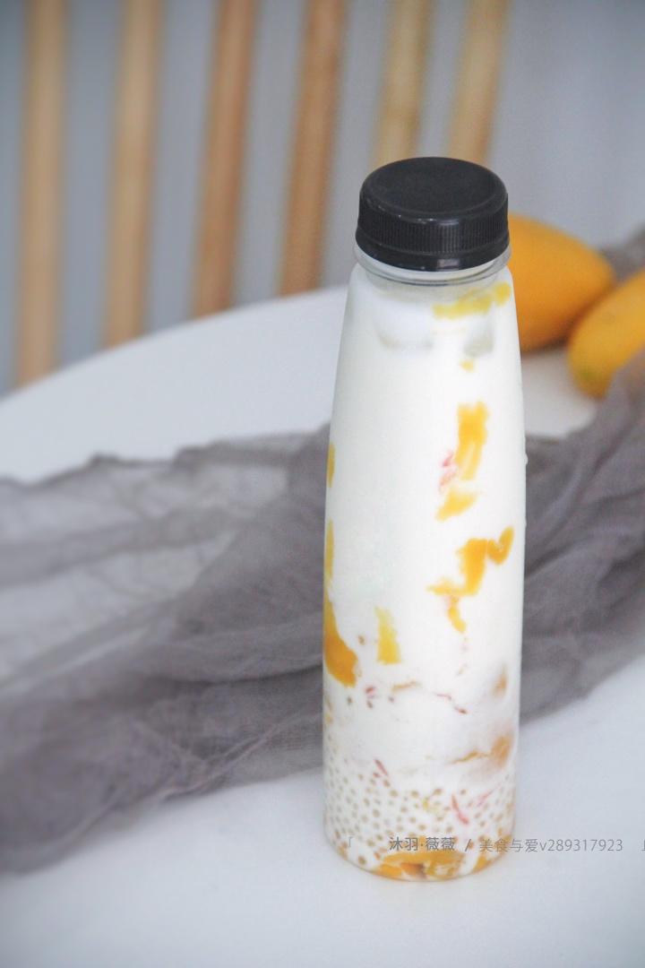 《Tinrry+》杨枝甘露