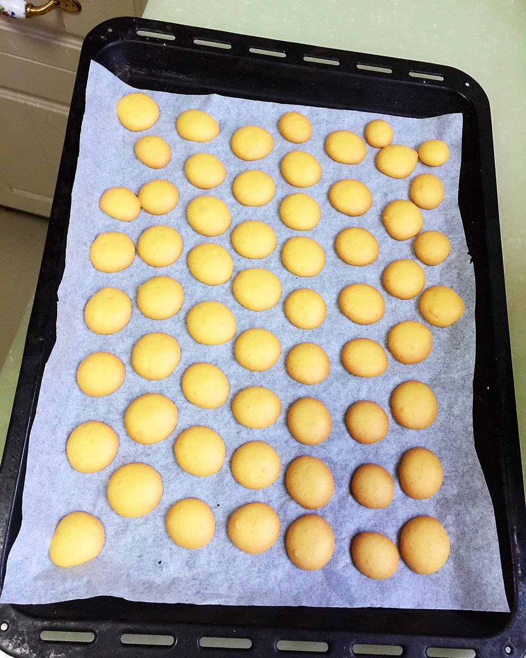 鸡蛋小饼干