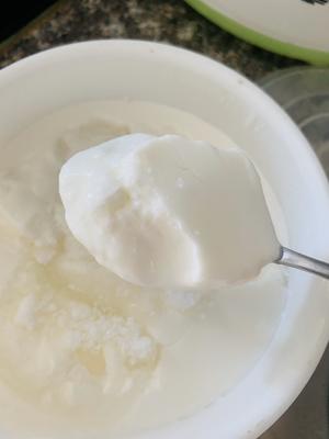 不需要发酵粉的酸奶的做法 步骤9