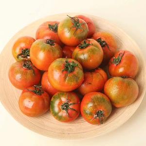 酸汤番茄肥牛面的做法 步骤2