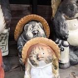 插刀生高大树