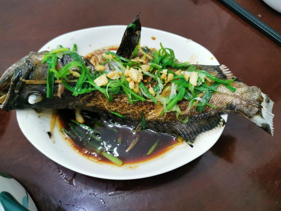 茱迪宝宝的妈妈做的清蒸龙趸斑