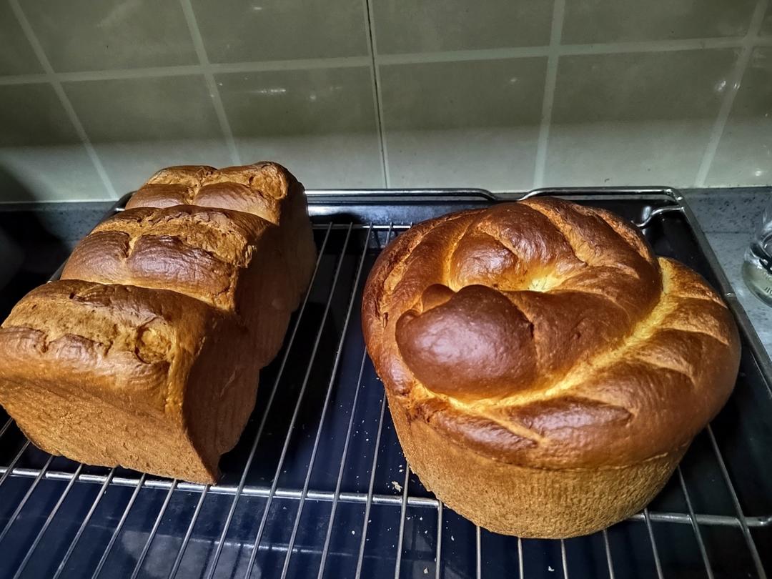 🌟只需一发的软妹子🌟奶香吐司🍞