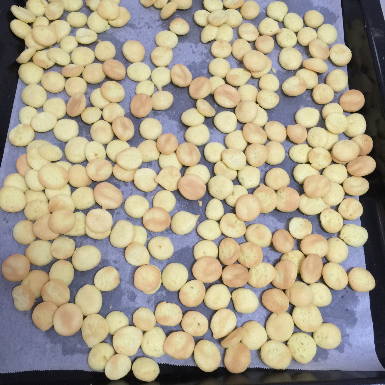 酥脆蛋香小饼干