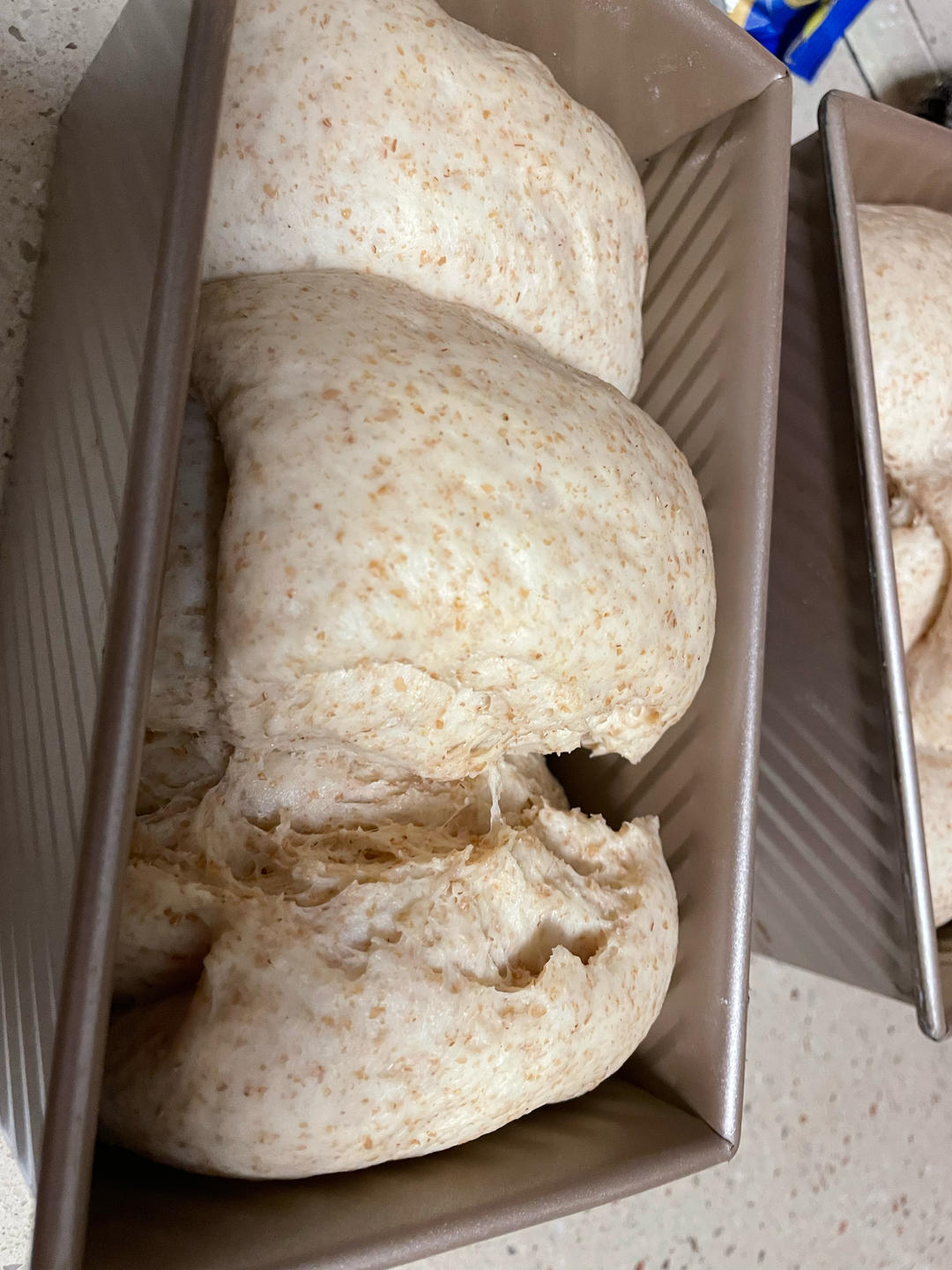 柔软的蜂蜜牛乳全麦吐司