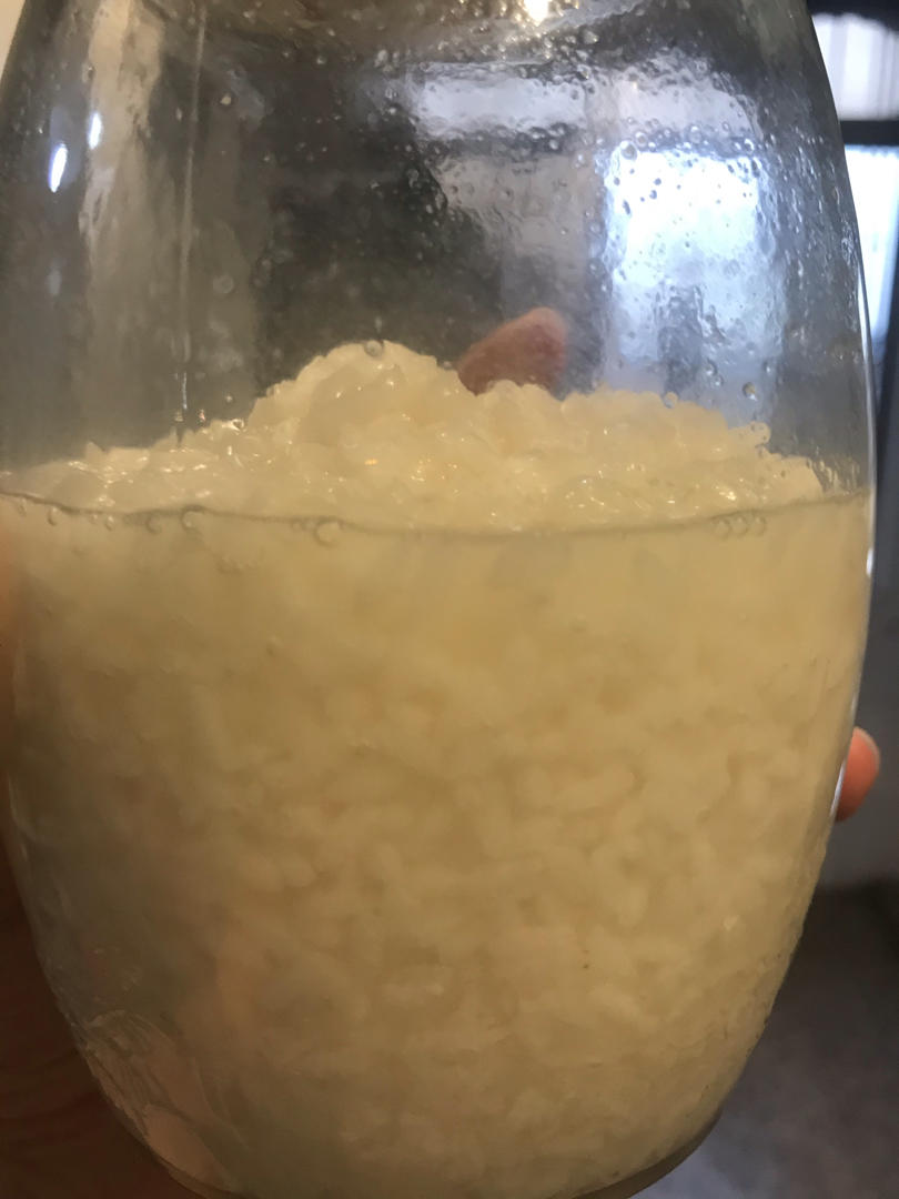 6分钟自制米酒【省事米酒最简易的打开方式】ヽ(•̀ω•́ )ゝ自制酒糟.醪糟.酒酿