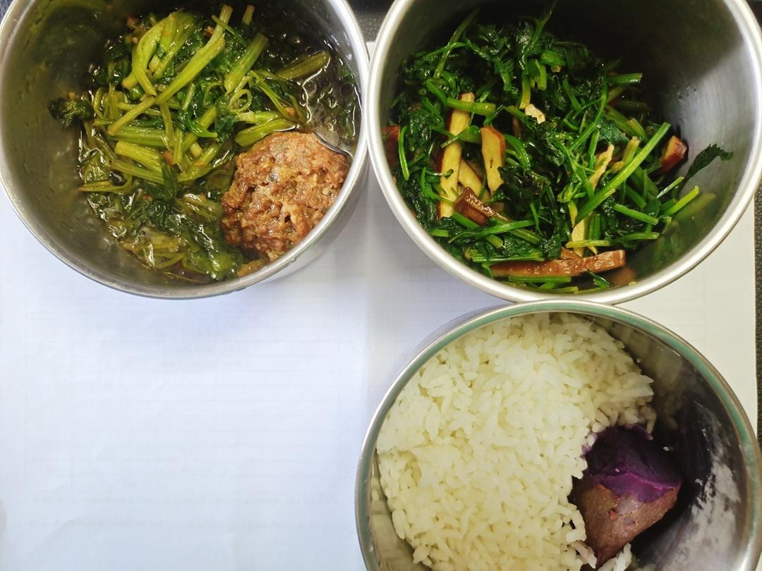 我的糊弄学自带午餐