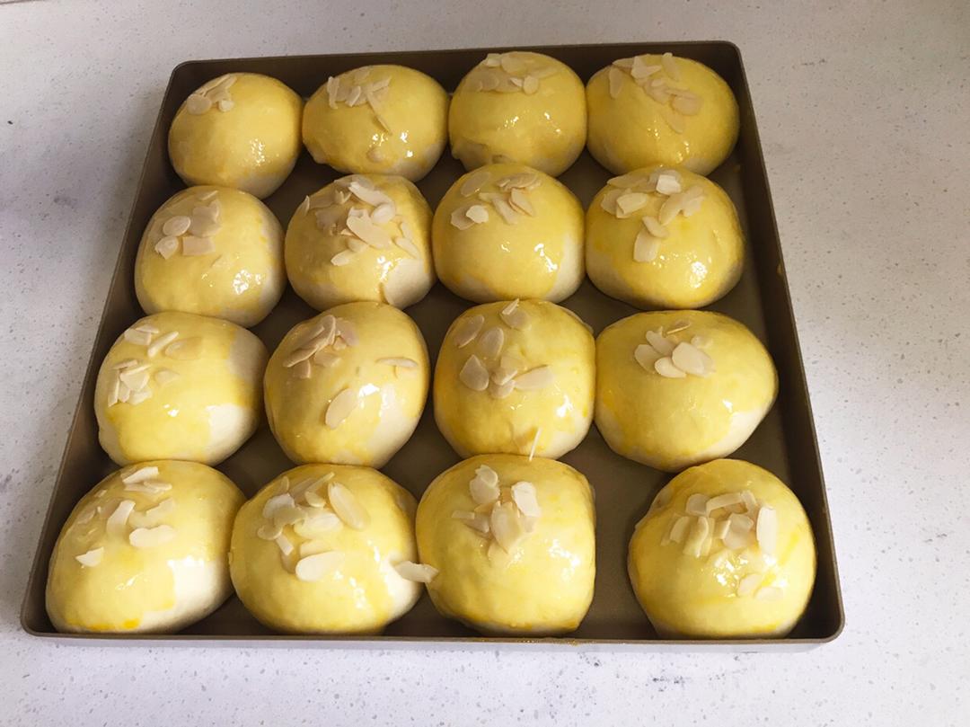 鲜奶油小餐包（一次发酵）