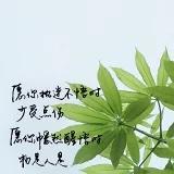 行走时光的独白