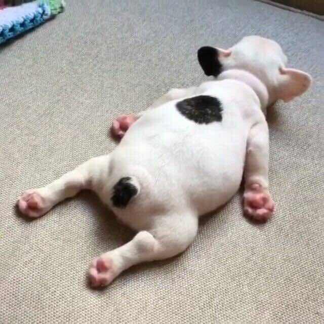 叫我小逗比好吗