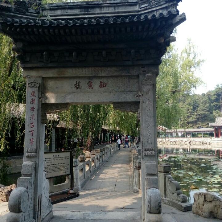 深谷幽兰兮