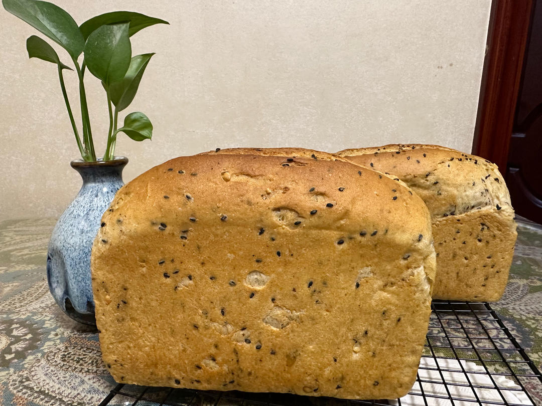 超柔软の坚果全麦吐司🍞
