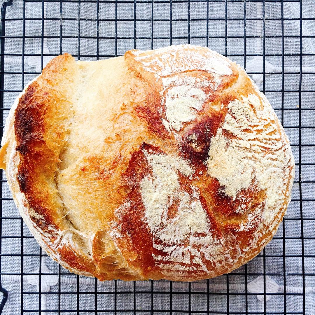欧包/乡村面包-无油不用揉 No Knead Bread