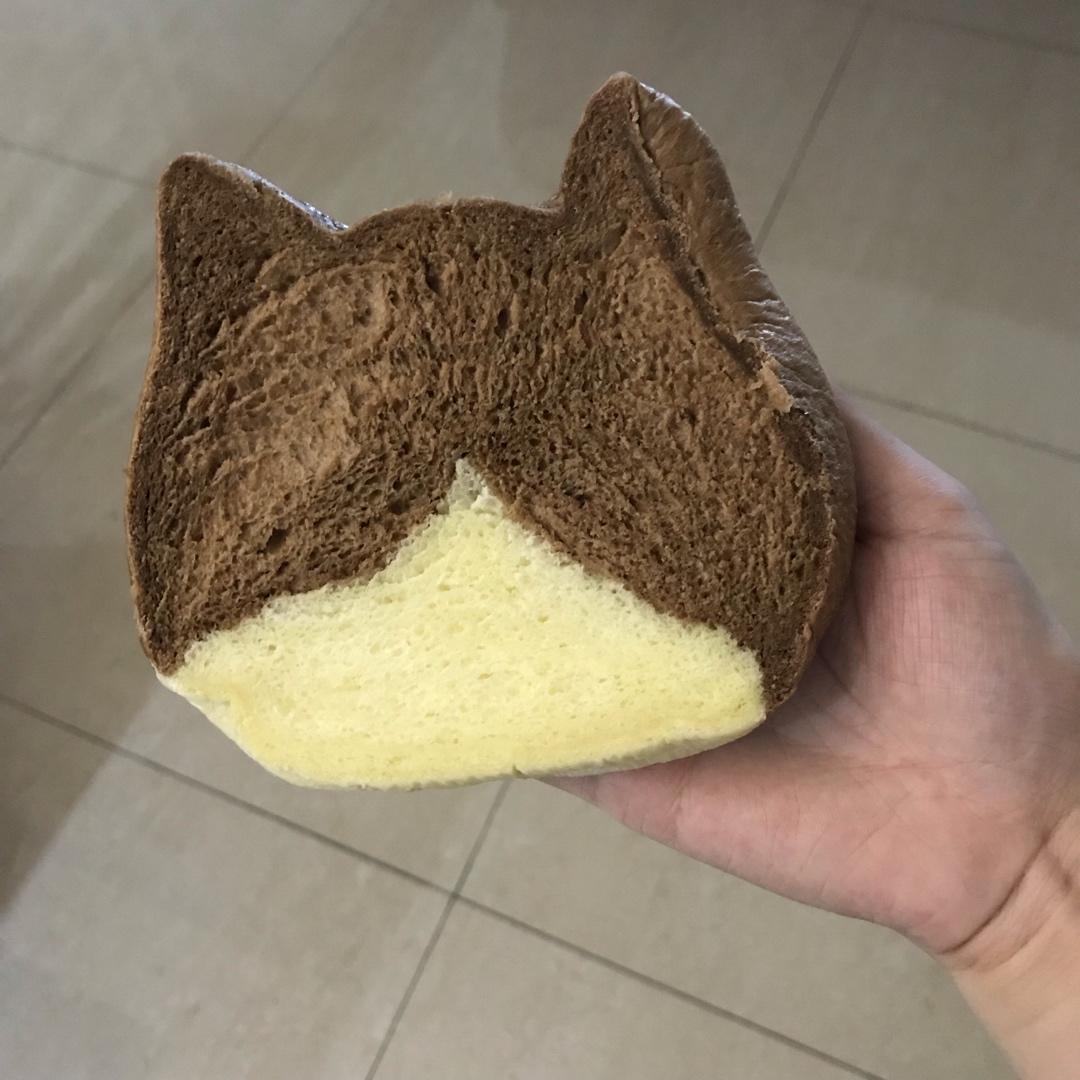 网红大猫猫头面包