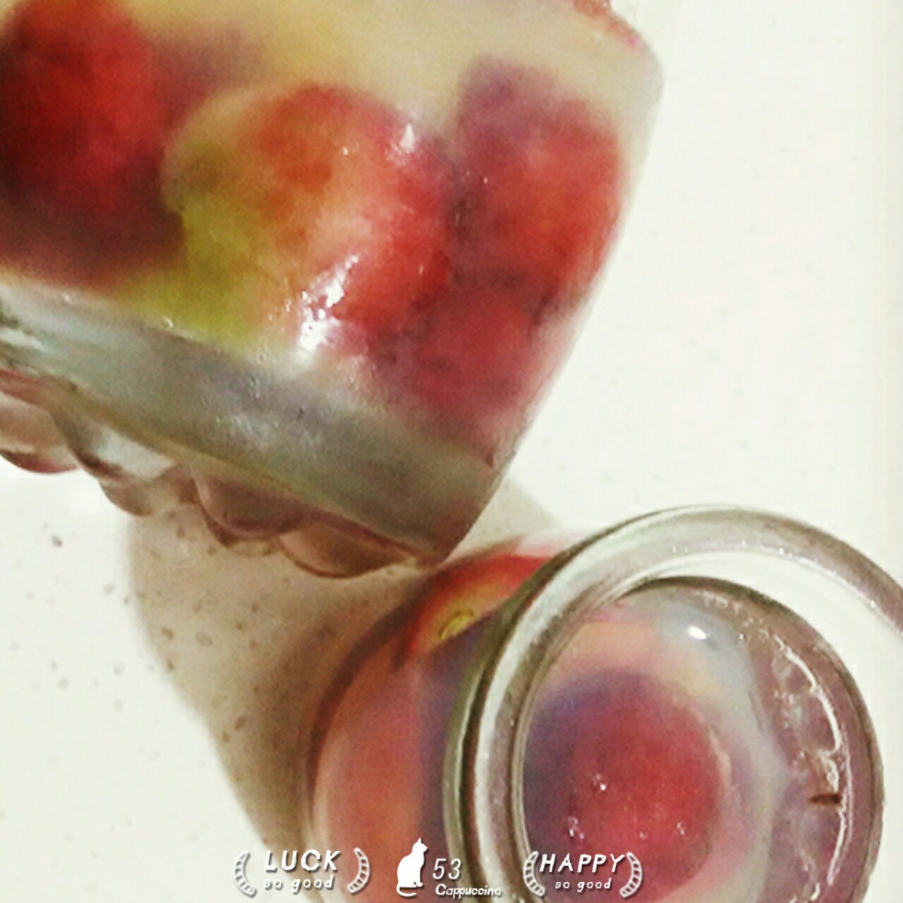 水果果冻–鱼胶粉*鱼胶片双版方子