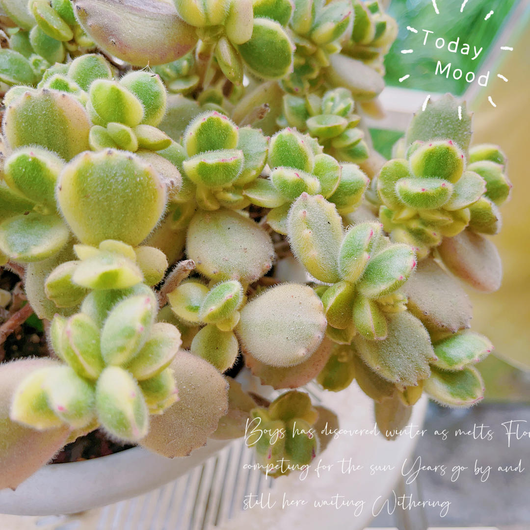 好奇心配上行动