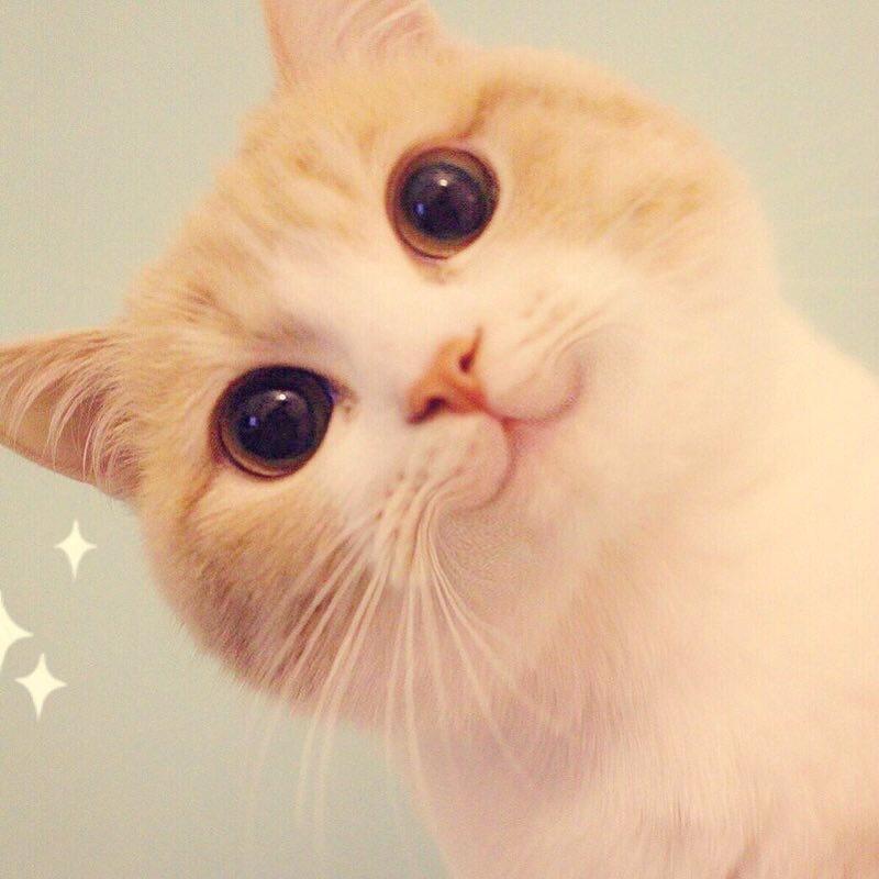 小莎的厨房