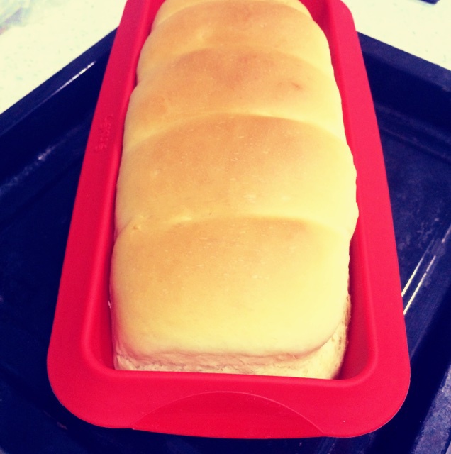 大人小孩都爱不释口的【蜂蜜牛奶小餐包】