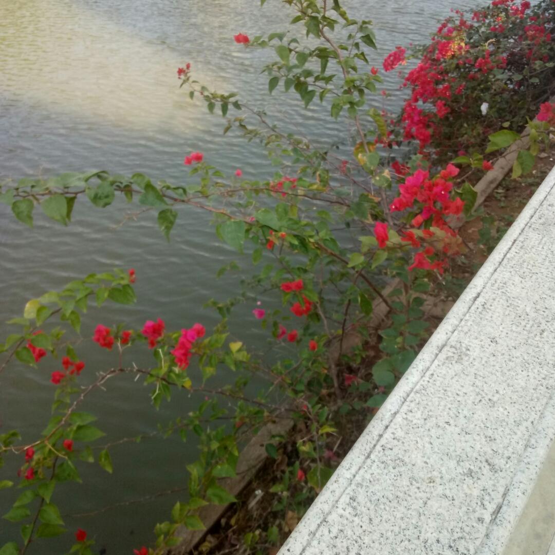 手机用户7163_de5m