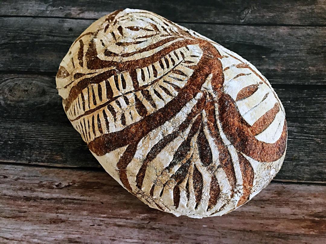 视频教程 天然酵种欧包 基础配方＆制作流程