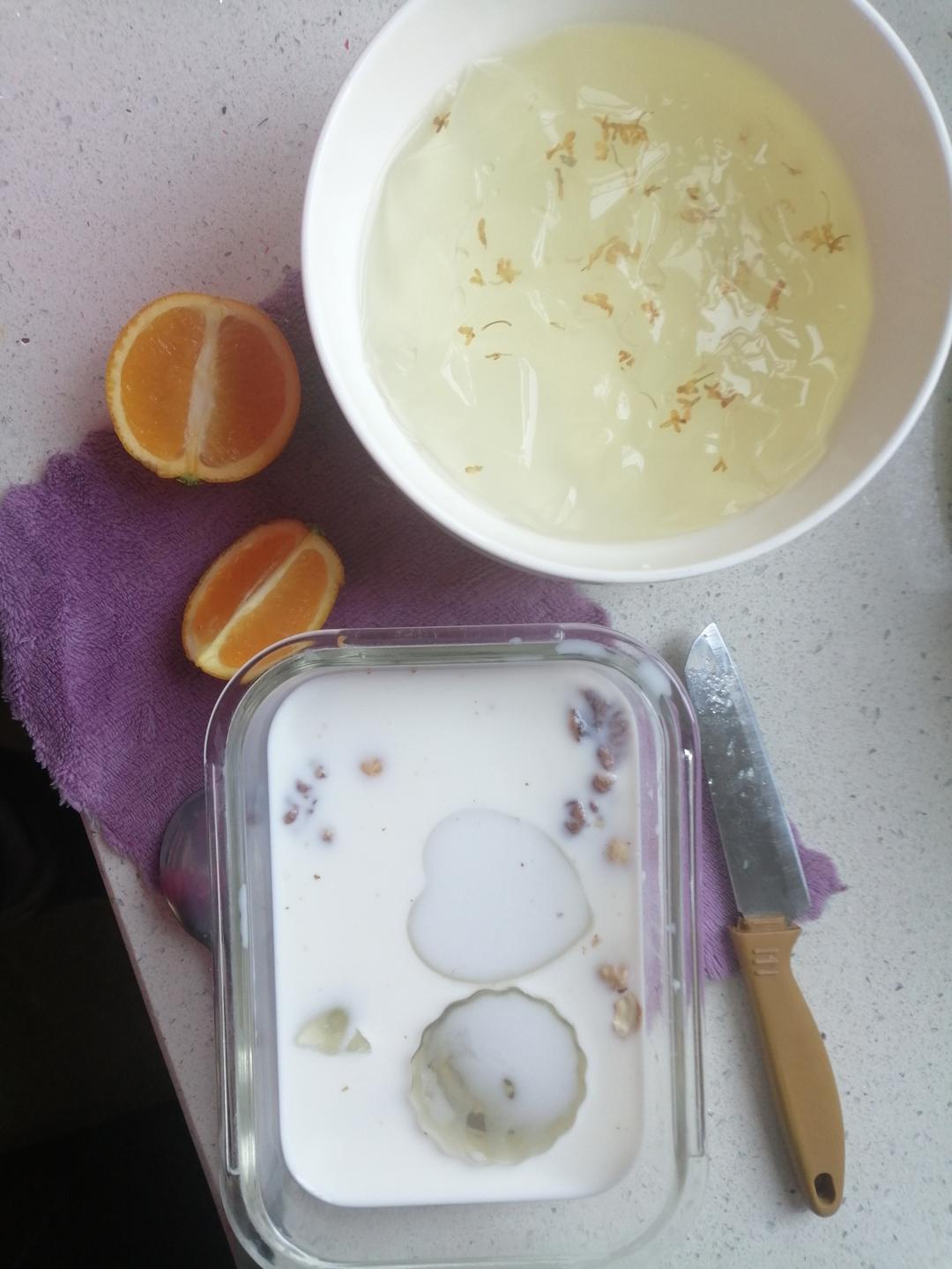 宅家甜品🆓桂花啵啵椰奶冻🥥有颜更有味😋